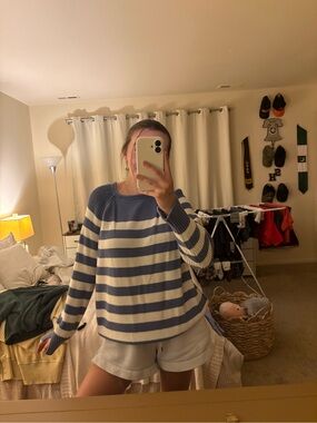 aerie Blue and White Striped Crewneck Sweater